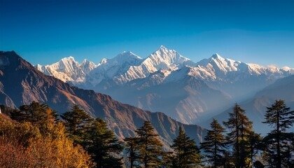 Dharamshala Volvo Package for Couple